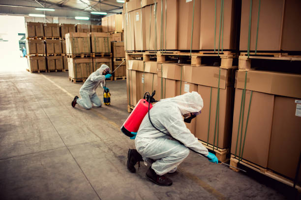 Best Exterminator Services  in Lynnville, IN