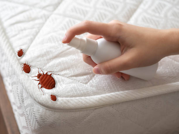 Best Pest Control Treatment  in Lynnville, IN