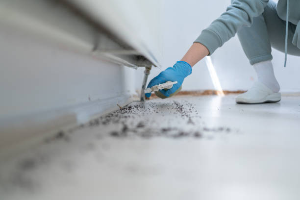 Best Emergency Pest Control  in Lynnville, IN