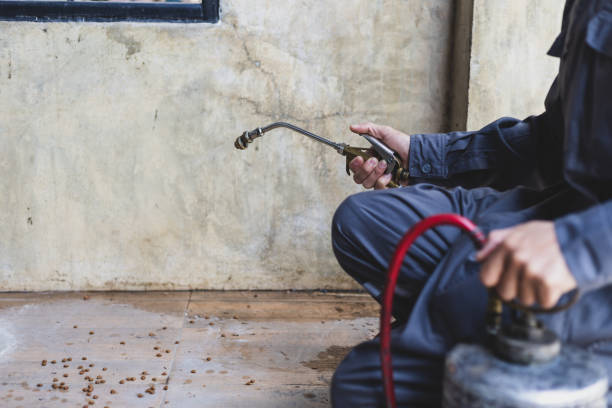 Best Residential Pest Control  in Lynnville, IN